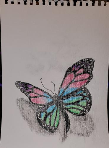 flutterby-butterfly-2_1680420391.jpg