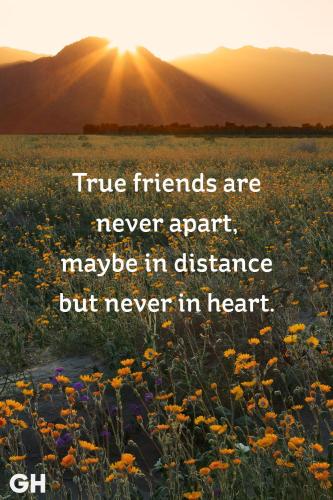 friend-apart-in-distance_1786924911.jpg