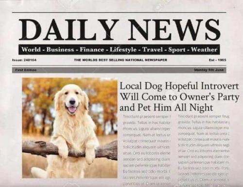 funny-pictures-8-20-24-12_1775669867.jpg