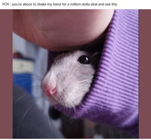 ggkjhkngj_1774379711.jpg