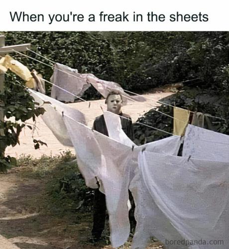 halloween-meme-33-671a3eeb99557-700_1761058733.jpg