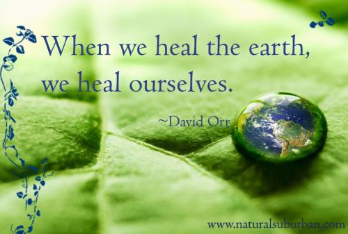 heal-earth_1788102196.jpg