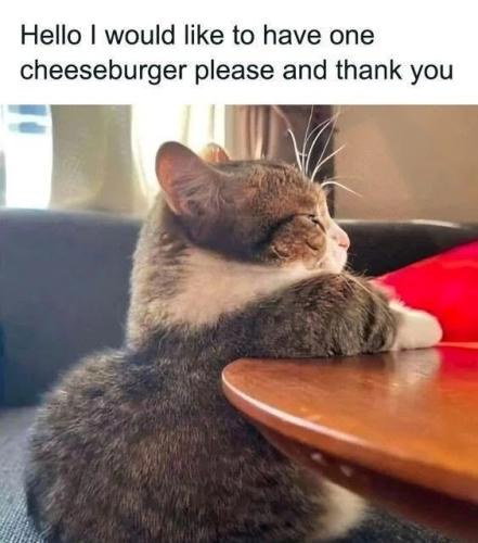 hello-would-like-have-one-cheeseburger-please-and-thank_1775669964.jpeg