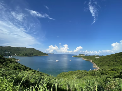 image_1675638966.png