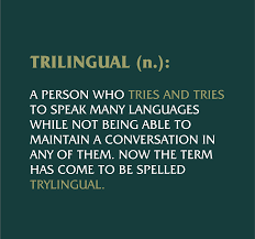 image_1676399956.png