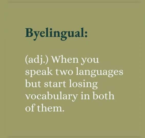 image_1676399996.png