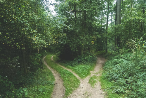 image_1678472695.png