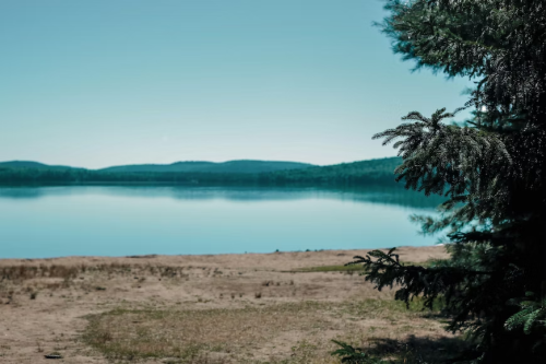 image_1680656365.png
