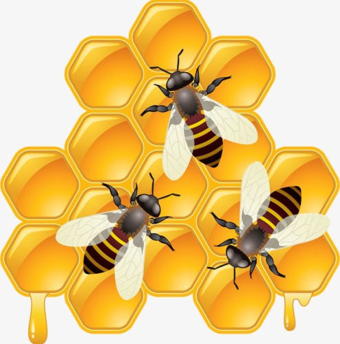 image_1682527782.png