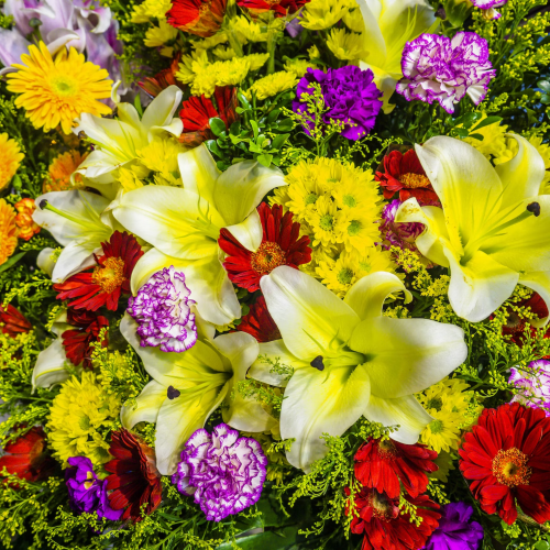 image_1682894454.png