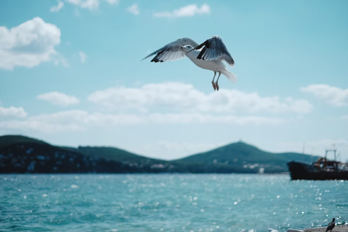 image_1689118050.png