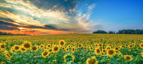 image_1691541351.png