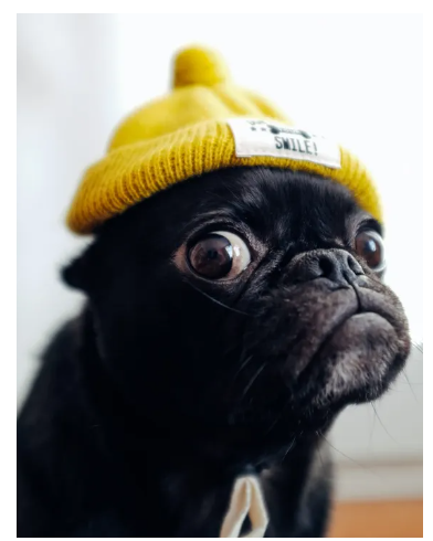 image_1693830176.png