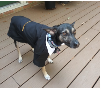 image_1693912562.png
