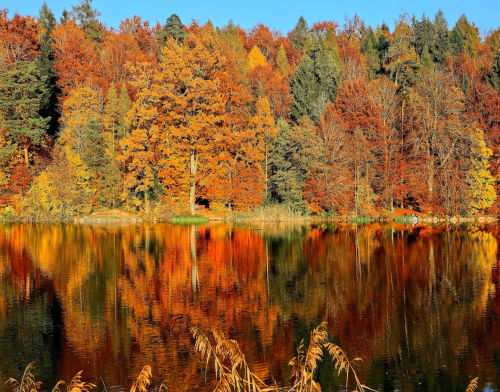 image_1694990167.png