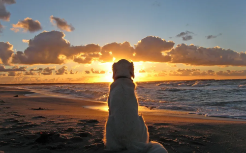 image_1695036173.png