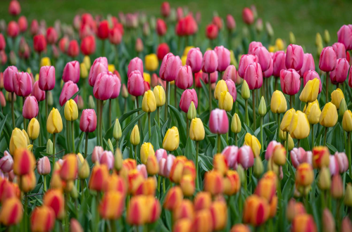 image_1717585576.png