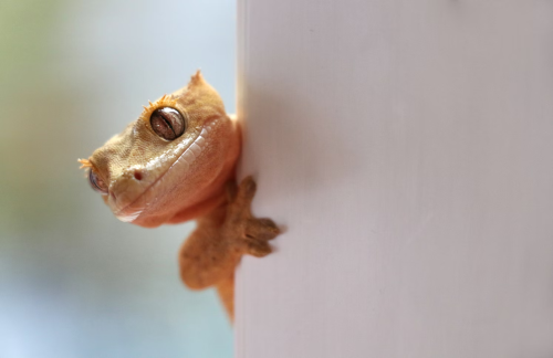 image_1724977178.png