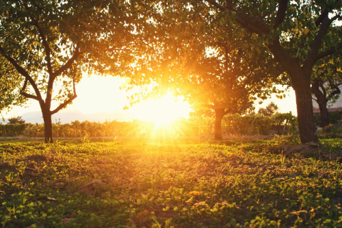 image_1743983188.png
