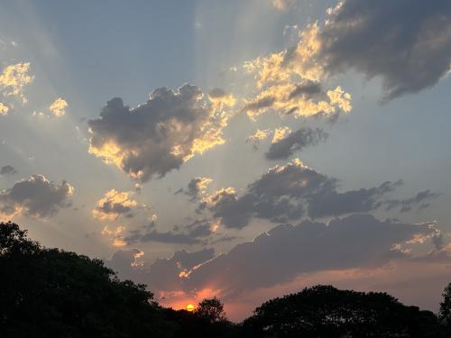 image_1747648963.jpeg