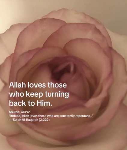 image_1753909735.png