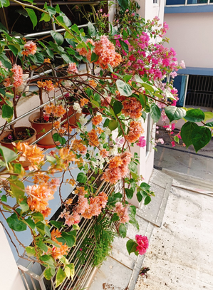 image_1762150128.png