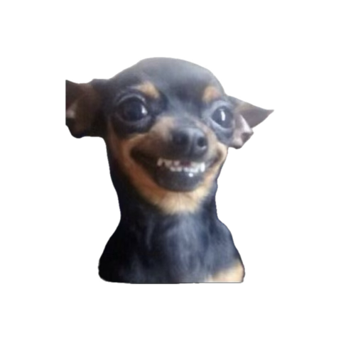 image_1762658846.png