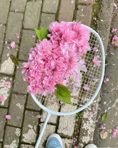 image_1762668892.png