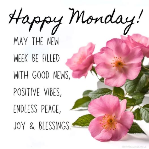 image_1763390884.png