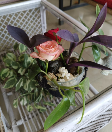 image_1763634816.png
