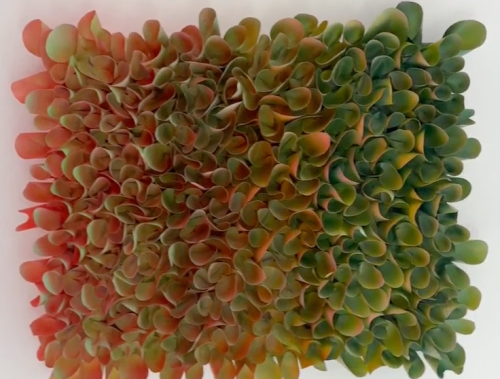 image_1764333258.png