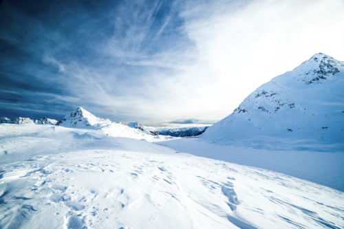image_1764548016.png