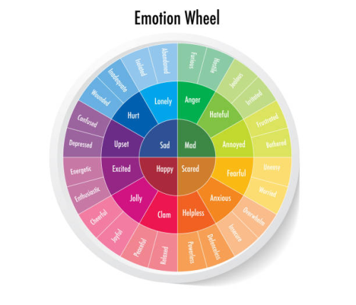 image_1765295628.png