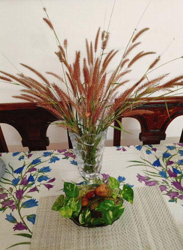 image_1765448058.png
