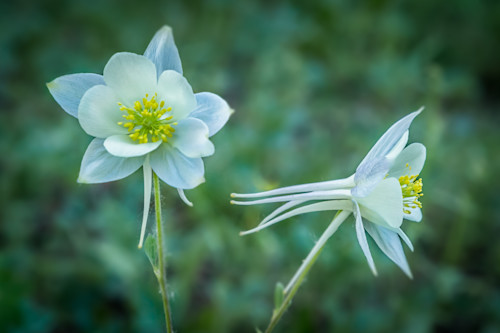 image_1765500332.png