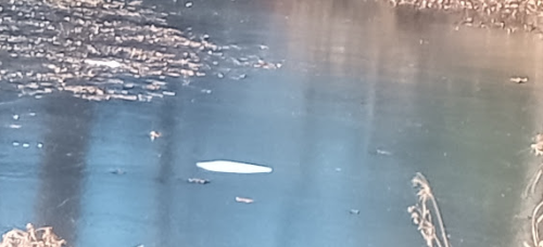 image_1765631487.png