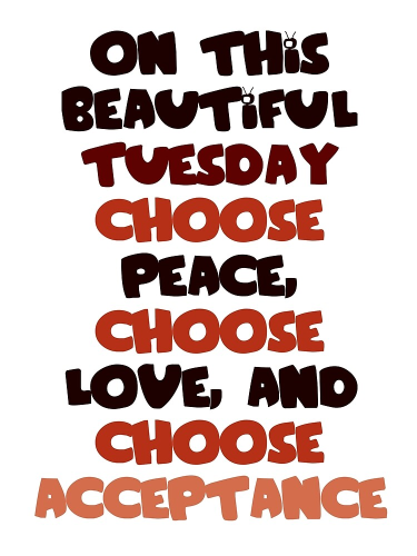 image_1765902798.png