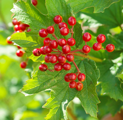 image_1766717373.png