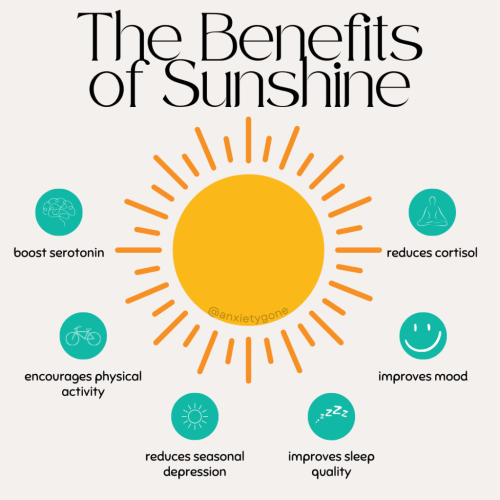image_1767303586.png