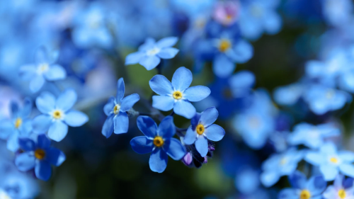 image_1767321017.png