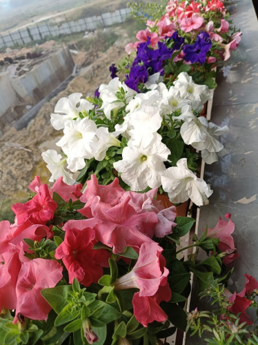 image_1767865884.png