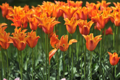 image_1767912800.png