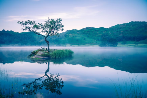 image_1768173457.png