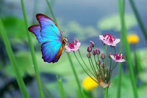 image_1768538630.png