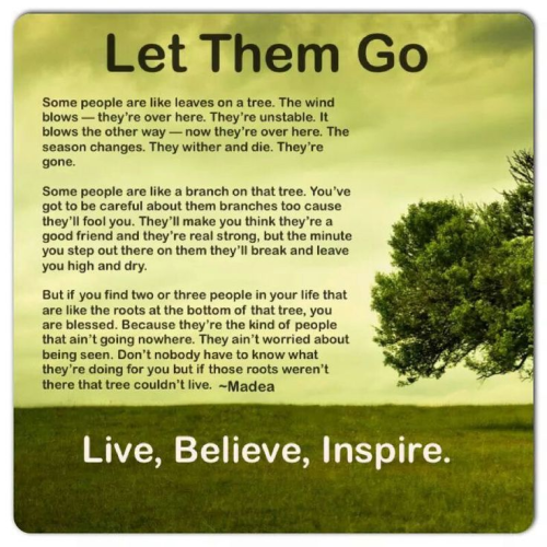image_1770329621.png