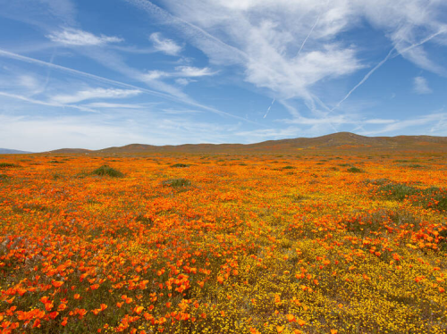 image_1770950351.png
