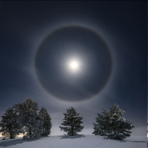 image_1770995403.png