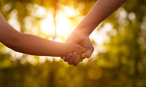 image_1771006299.png