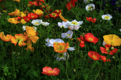 image_1771190777.png