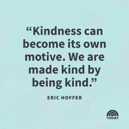 image_1771540321.png